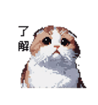 ドット絵 スコティッシュフォールド 猫（個別スタンプ：40）