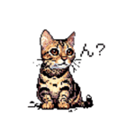 ドット絵 ベンガル 猫  日常会話（個別スタンプ：4）