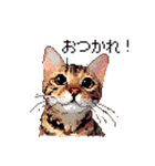 ドット絵 ベンガル 猫  日常会話（個別スタンプ：5）