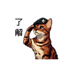 ドット絵 ベンガル 猫  日常会話（個別スタンプ：8）