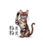 ドット絵 ベンガル 猫  日常会話（個別スタンプ：9）