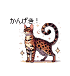 ドット絵 ベンガル 猫  日常会話（個別スタンプ：10）