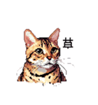 ドット絵 ベンガル 猫  日常会話（個別スタンプ：16）