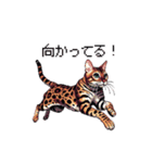 ドット絵 ベンガル 猫  日常会話（個別スタンプ：18）