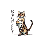 ドット絵 ベンガル 猫  日常会話（個別スタンプ：19）