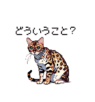 ドット絵 ベンガル 猫  日常会話（個別スタンプ：20）