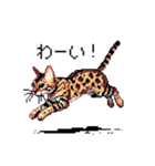 ドット絵 ベンガル 猫  日常会話（個別スタンプ：27）