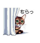 ドット絵 ベンガル 猫  日常会話（個別スタンプ：29）