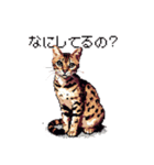 ドット絵 ベンガル 猫  日常会話（個別スタンプ：30）