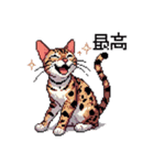 ドット絵 ベンガル 猫  日常会話（個別スタンプ：33）