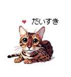 ドット絵 ベンガル 猫  日常会話（個別スタンプ：34）