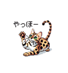 ドット絵 ベンガル 猫  日常会話（個別スタンプ：38）