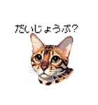 ドット絵 ベンガル 猫  日常会話（個別スタンプ：39）