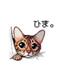 ドット絵 ベンガル 猫  日常会話（個別スタンプ：40）