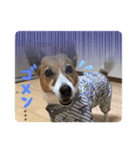 毎日使える♩メイちゃん基本スタンプ（個別スタンプ：1）