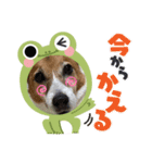 毎日使える♩メイちゃん基本スタンプ（個別スタンプ：3）