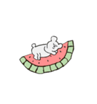 どこだって寝ちゃうくま（個別スタンプ：8）