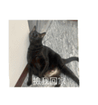 ミーム-1（個別スタンプ：4）