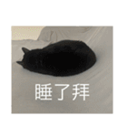 ミーム-1（個別スタンプ：12）