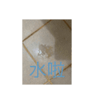 ミーム-1（個別スタンプ：15）