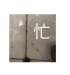 ミーム-1（個別スタンプ：16）