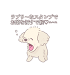 犬とキツネとたぬきとハムスターのスタンプ（個別スタンプ：1）