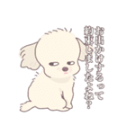 犬とキツネとたぬきとハムスターのスタンプ（個別スタンプ：2）
