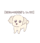 犬とキツネとたぬきとハムスターのスタンプ（個別スタンプ：3）