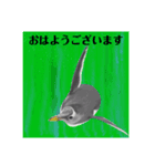 神在月のペンギンスタンプ18.1（個別スタンプ：9）