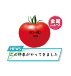 うちのお姉ちゃんはトマトが好き（個別スタンプ：38）