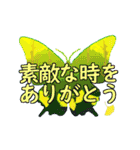 でか文字版☆秋色の蝶（個別スタンプ：13）