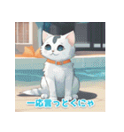 美しい子猫きれいイラスト大人友人向け（個別スタンプ：19）