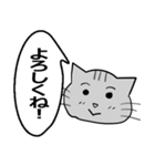 ひと言伝えるふきだしネコ（個別スタンプ：1）