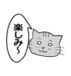 ひと言伝えるふきだしネコ（個別スタンプ：4）