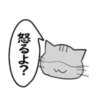 ひと言伝えるふきだしネコ（個別スタンプ：19）