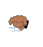 トイプードル ジャムスタンプ2（個別スタンプ：34）