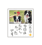 ショーンのつぶやき♪（個別スタンプ：10）