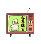 アヒルTV（個別スタンプ：9）