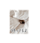 うぶコヒスタンプ（個別スタンプ：3）