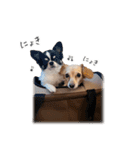 うぶコヒスタンプ（個別スタンプ：4）
