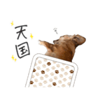 うぶコヒスタンプ（個別スタンプ：5）