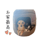 うぶコヒスタンプ（個別スタンプ：6）