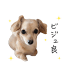 うぶコヒスタンプ（個別スタンプ：8）