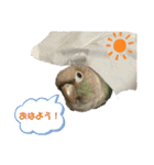 ウロコインコさん時々こざくらさん。（個別スタンプ：2）
