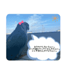 ウロコインコさん時々こざくらさん。（個別スタンプ：14）