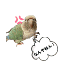 ウロコインコさん時々こざくらさん。（個別スタンプ：17）