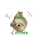 ウロコインコさん時々こざくらさん。（個別スタンプ：22）