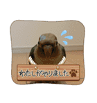ウロコインコさん時々こざくらさん。（個別スタンプ：35）
