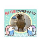 ウロコインコさん時々こざくらさん。（個別スタンプ：38）
