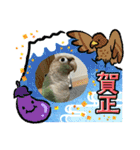 ウロコインコさん時々こざくらさん。（個別スタンプ：39）